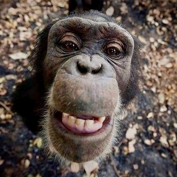 Meet your Posher, Sonia - Picture 3 of 9